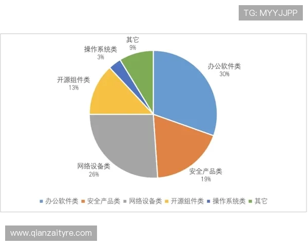 北京飞盘队战术解析与实战应用的深度探讨与思考